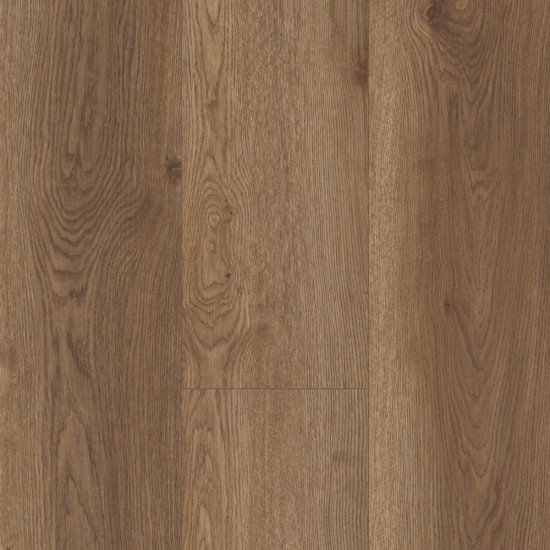 COREtec Plus XL Enhanced - Arvon Oak